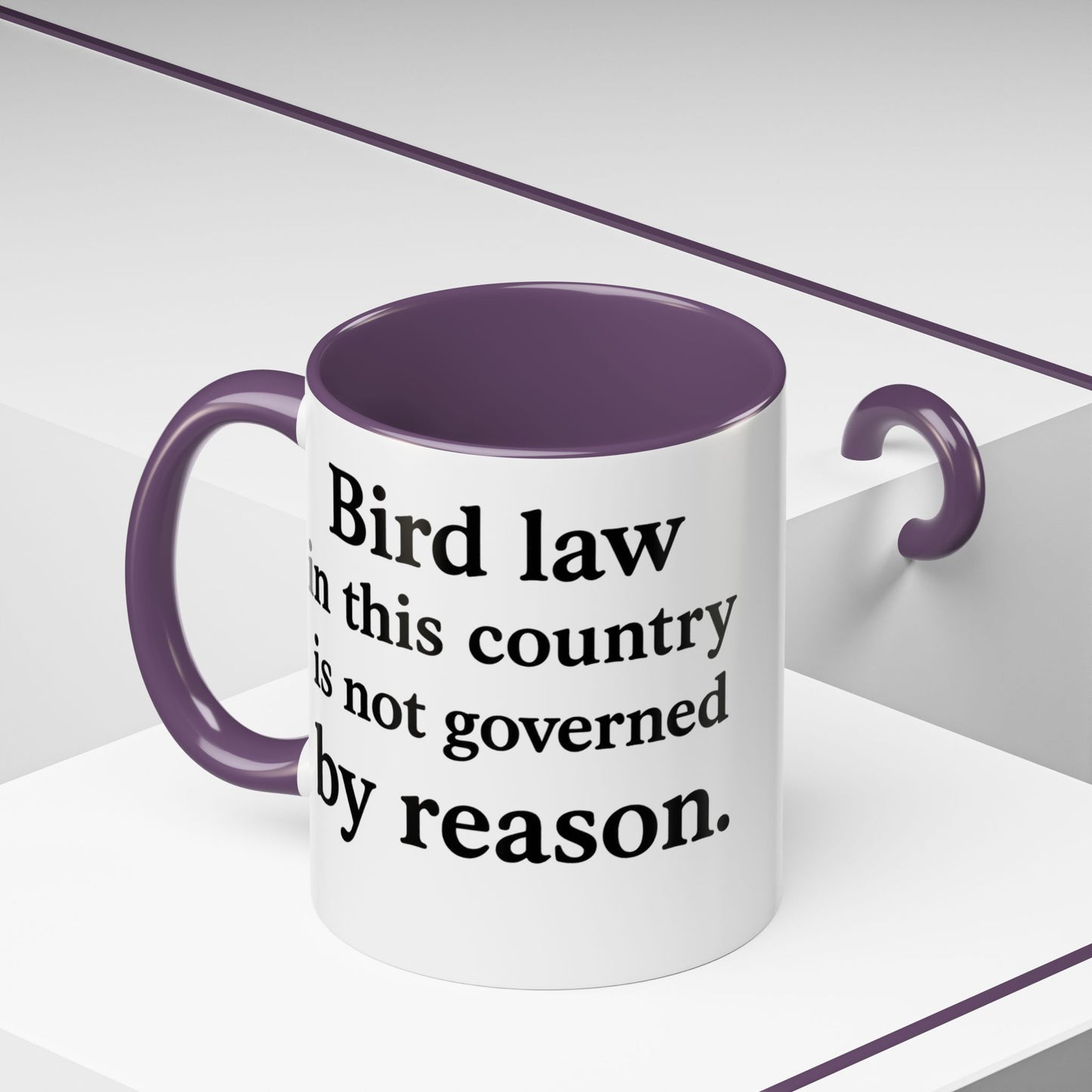 Bird Law Mug - 11oz,