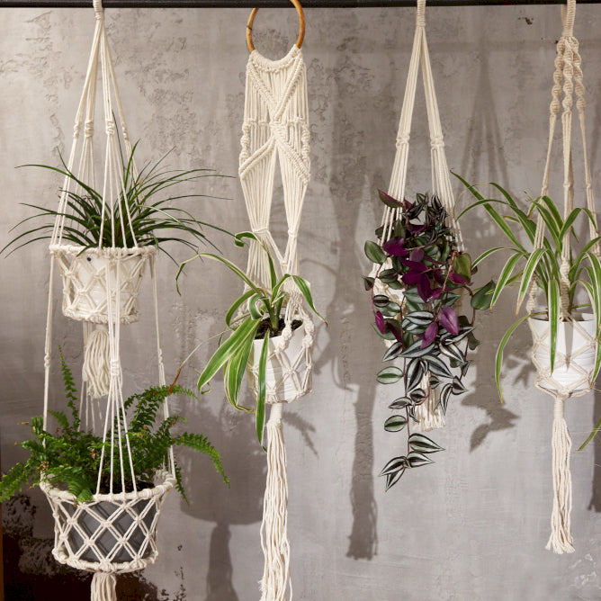 Macrame Pot holders, Wall hangings and Soft Chandeliers