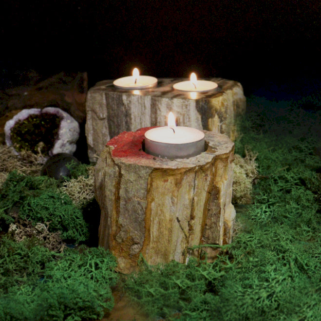 Petrified Wood Candle Holder