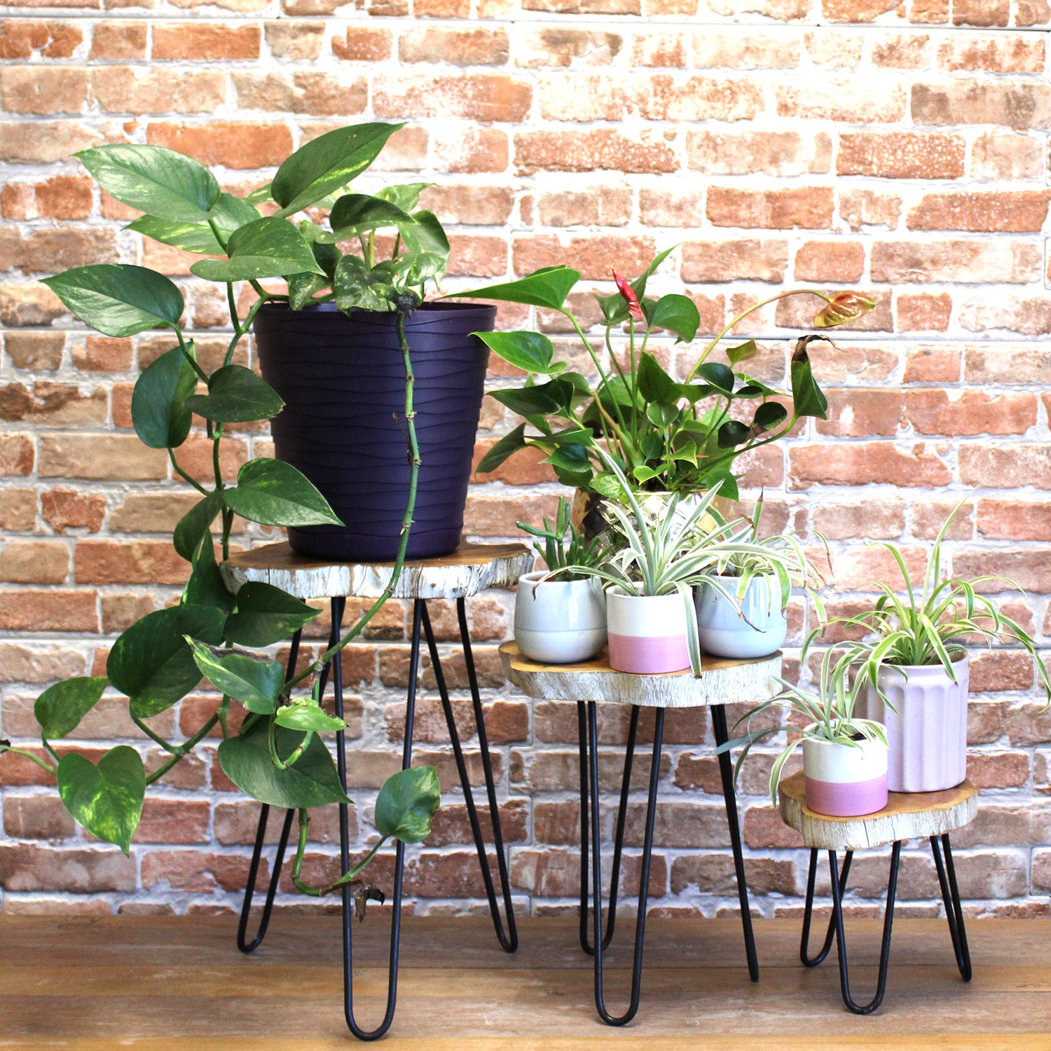 Wooden Plant Stands