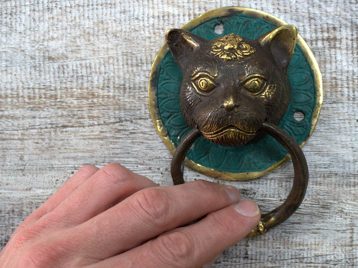 Low Stock - Brass Door Knocker - Tiger Head