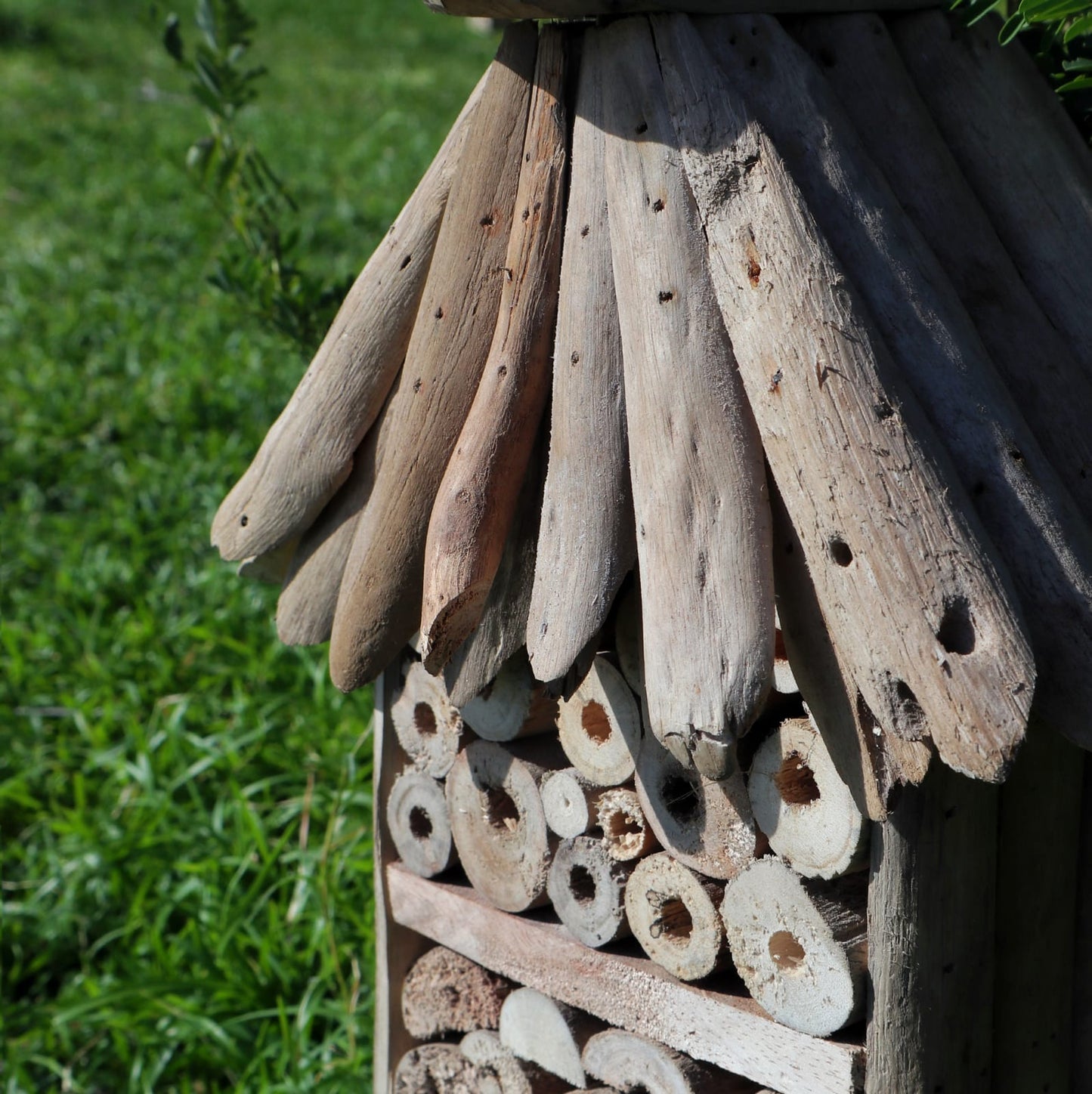 Driftwood Bee & Insect Highrise Box