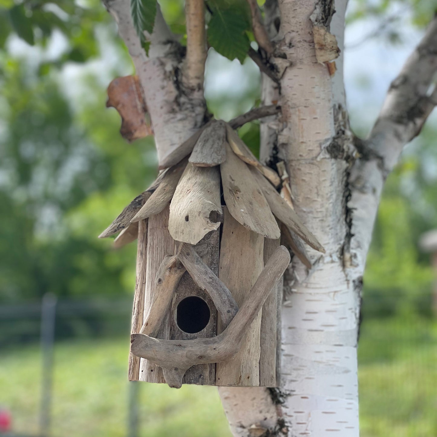 Out of stock. Driftwood Birdbox - Wallhanging