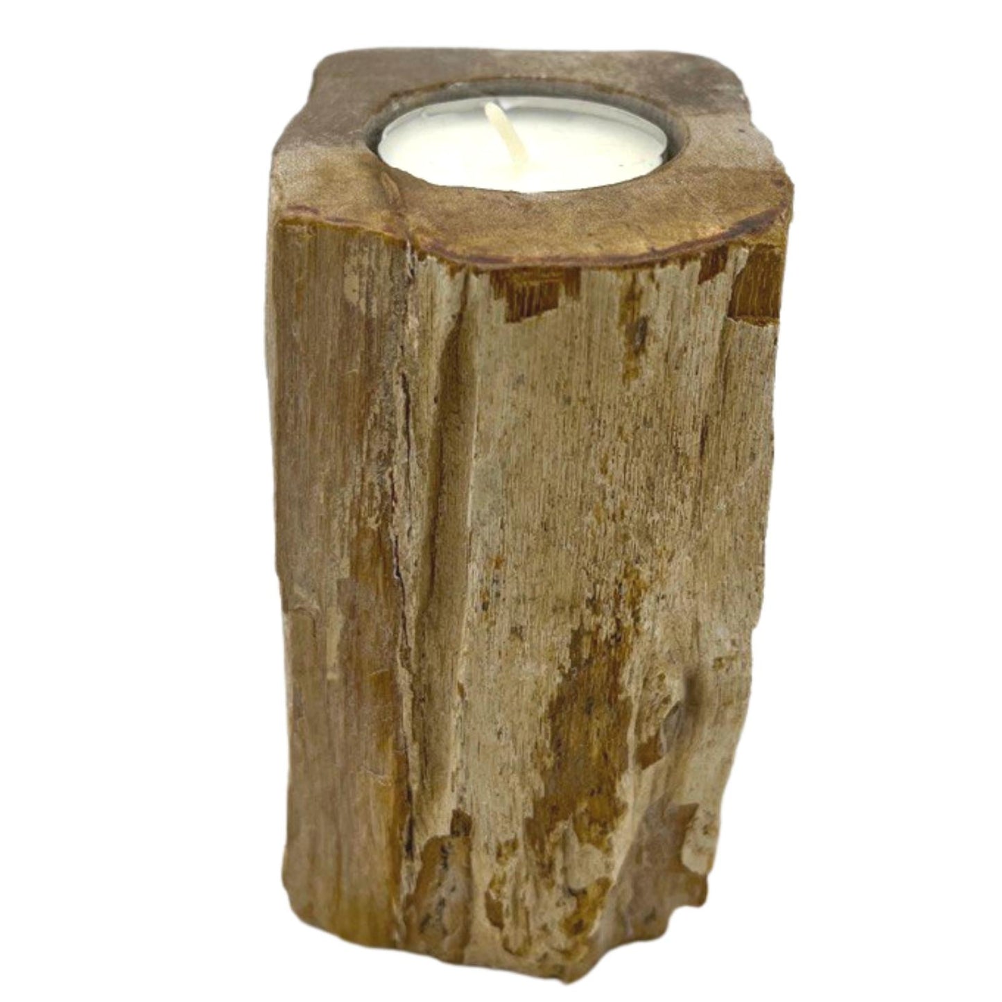 Petrified Wood Candle Holder - Single Tall