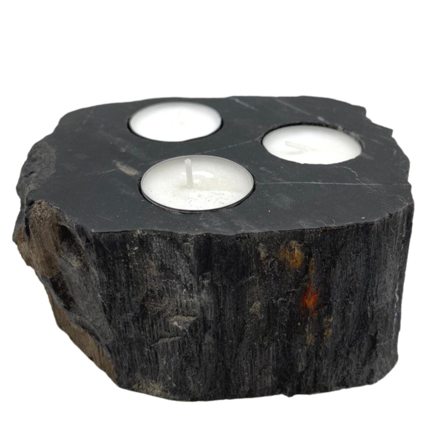 Petrified Wood Candle Holder - Triple